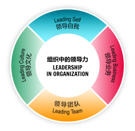 PPI衍畴咨询领导力发展解决方案 - LPI定向领航 - PPI衍畴咨询-聚焦领导力|销售效能|组织创新